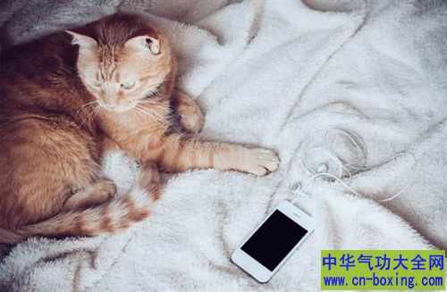 睡觉时请关机