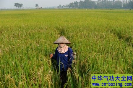 日常环境中诱发儿童癌症的五种毒素