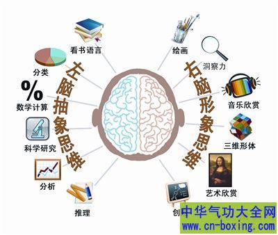 “左撇子”3 岁左右已定型