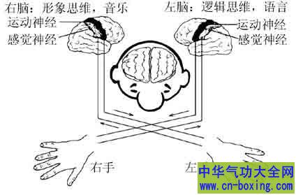 “左撇子”赢的秘密