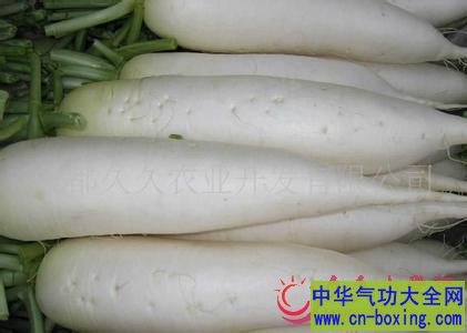冬季养生吃白萝卜好处多 顺气暖身又防癌