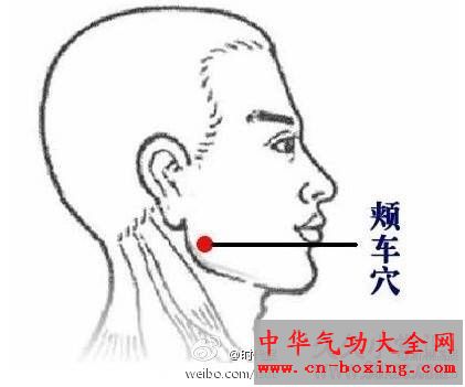 颊车穴、颧穴：消除脸颊浮肿 