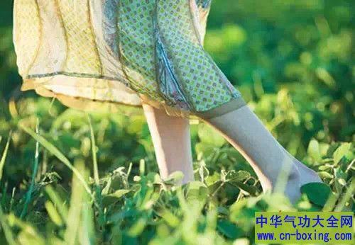 教你几招，蚊子一个夏天都不敢进你的房间