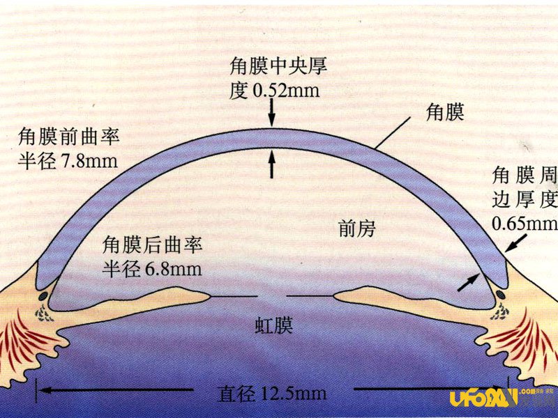 黑科技实验室正在研究的技术:角膜反射,揭示旁人