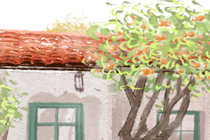 莲花落经典唱词,赏析莲花落文化魅力 莲花落经典唱词,赏析莲花落文化魅力