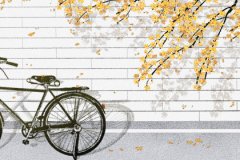 山东临沂发现北辛文化环壕聚落 北辛文化遗址在