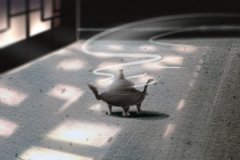 白马人的民俗文化有哪些你听过吗