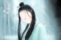 中国十大濒危动物之朱鹮