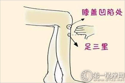 足三里穴：全能穴