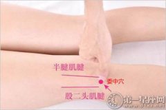 人体十大养生穴位之委中穴
