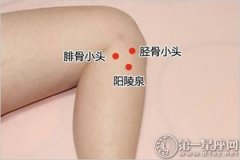 人体十大养生穴位之阳陵泉穴