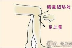 人体十大养生穴位之足三里穴