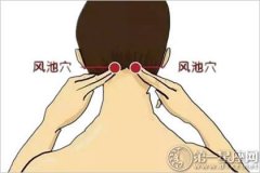 人体十大养生穴位之风池穴