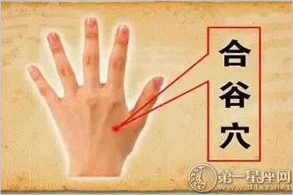 合谷穴：清热止痛穴