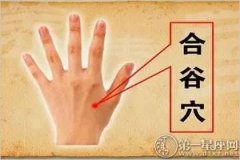 人体十大养生穴位之合谷穴