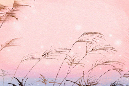 山康节是布朗族最盛大的节日