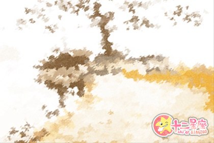 宿命点