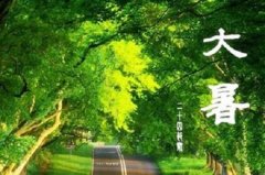 什么样形状下巴的人命最好？各个形状下巴的命