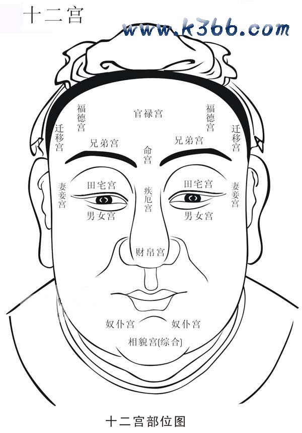十二宫部位图