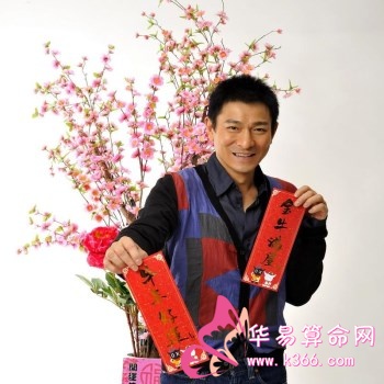 面相看你财富值