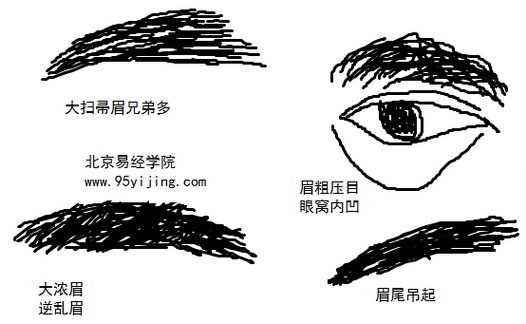 眉毛面相图解算命，看眉毛知兄妹数目与天命运