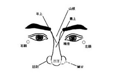 鼻子面相算命特征，看鼻子知性格和命运