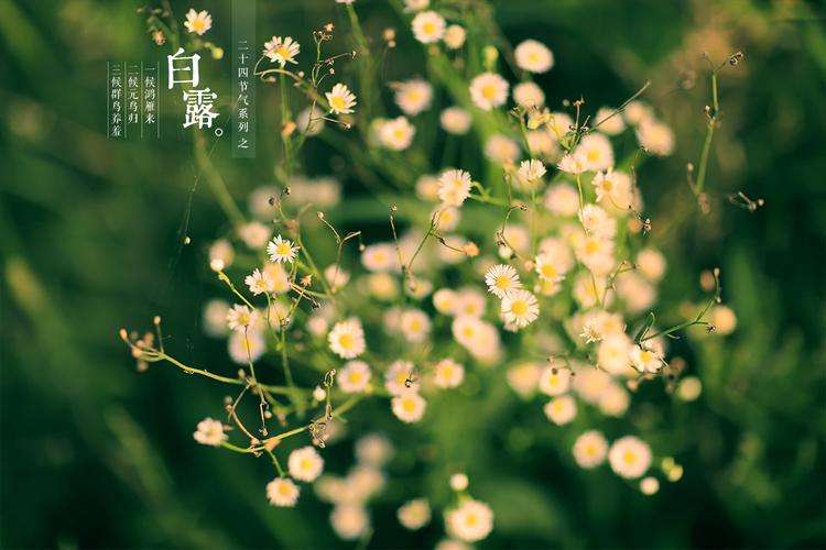 富贵痣都有哪些？如何看脸上的富贵痣？