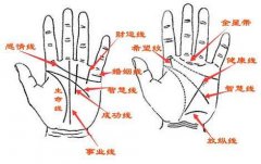 女人手掌厚好不好？手上的漏财纹你有吗？