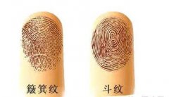 指纹十个斗好还是十个簸箕好？各象征着什么？