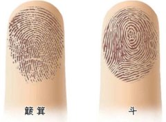 指纹“斗”多好还是“簸箕”多好？指纹如何算