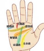 手掌上的太阳线怎么看富贵程度？什么是太阳线