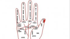 智慧线长的小孩都很聪明吗？智慧线怎么看命运