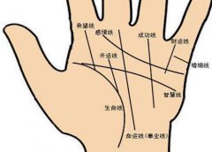 男性两只手都是断掌有什么说法？好不好？