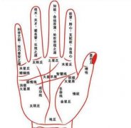 没财运线就没钱吗？