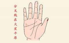 尾部分叉的财运线好不好？