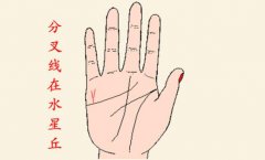 财运线末端分叉是说明会散财吗？