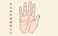 财运线顶端分叉应该怎么办？