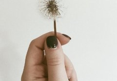 有福气的手相特点？