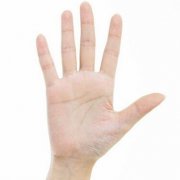 手相智慧线财运线分别怎么看？