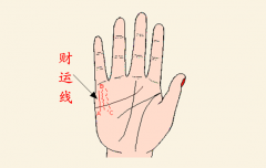 财运线是手上哪一条？