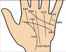 手相财运线是哪一条？好财运线长什么样？