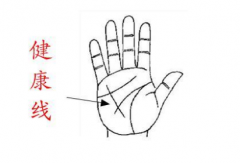 手相健康线和财运线的区别解析