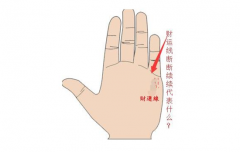 掌上财运线图解大全，财运线象征着什么？