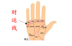 手上男人的财运线是哪一条？