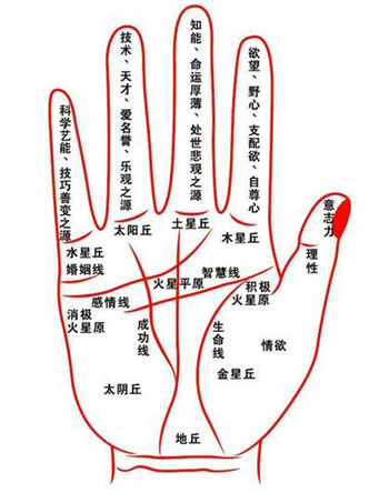 怎么看手纹