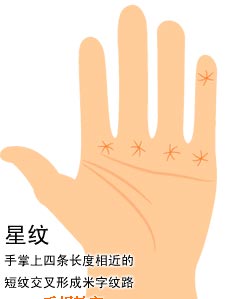 手掌纹之字星纹