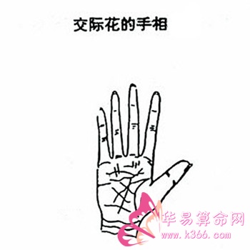 交际花的手相特征