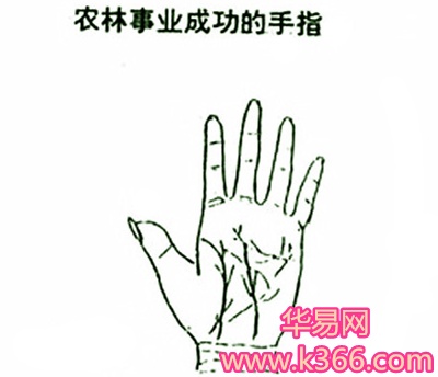 农林事业成功的手相特点