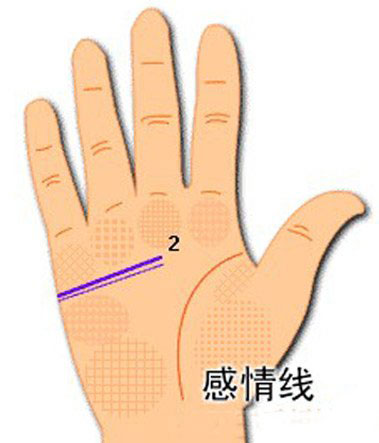 两条感情线的男人代表什么
