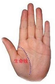 怎么看手相